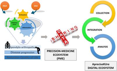 Computational Approaches Integrated in a Digital Ecosystem Platform for a Rare Disease